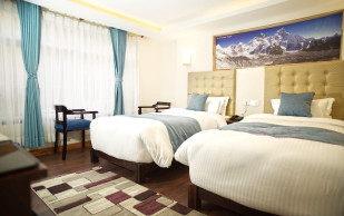 Deluxe Twin Room